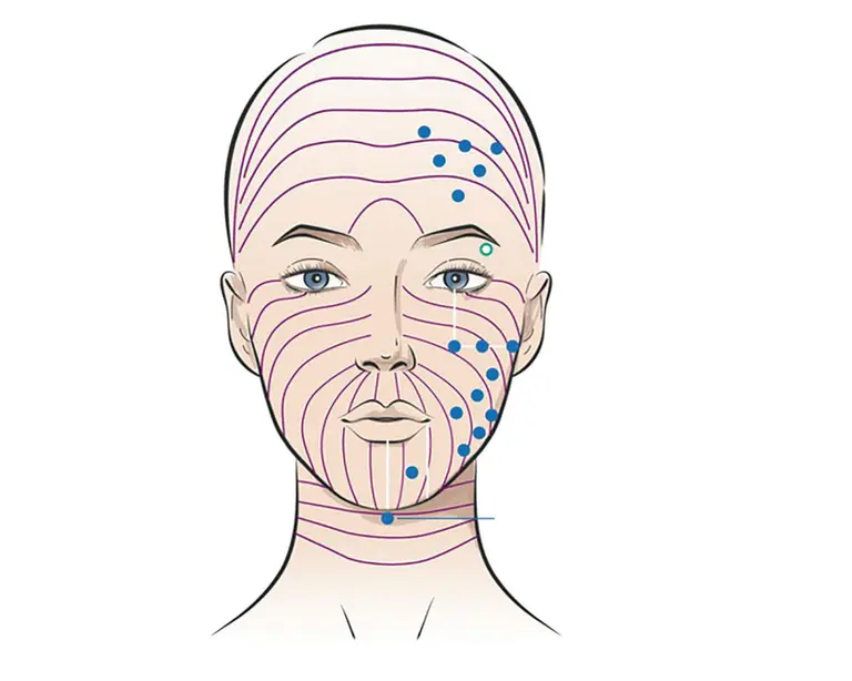 SuneKos Performa, tinerețe naturală prin regenerare celulară - Doctor SKiN